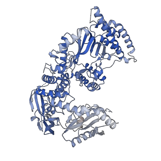 13539_7pmn_Q_v1-3
S. cerevisiae replisome-SCF(Dia2) complex bound to double-stranded DNA (conformation II)
