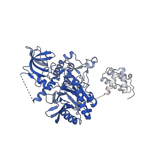 13539_7pmn_R_v1-3
S. cerevisiae replisome-SCF(Dia2) complex bound to double-stranded DNA (conformation II)