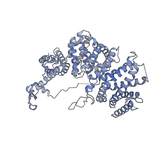 13539_7pmn_X_v1-3
S. cerevisiae replisome-SCF(Dia2) complex bound to double-stranded DNA (conformation II)