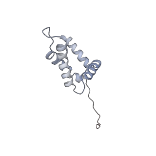 13539_7pmn_Y_v1-3
S. cerevisiae replisome-SCF(Dia2) complex bound to double-stranded DNA (conformation II)