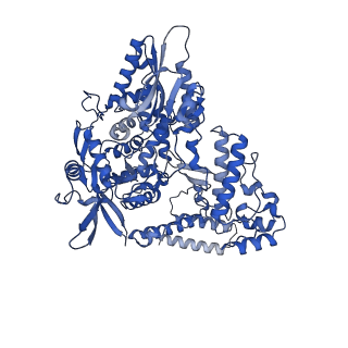 17755_8pm0_B_v1-0
Influenza A/H7N9 polymerase in replicase-like conformation in pre-initiation state with Pol II pS5 CTD peptide mimic bound in site 1A/2A