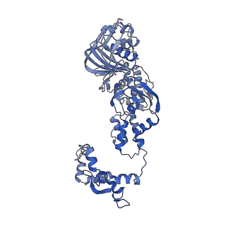 17755_8pm0_C_v1-0
Influenza A/H7N9 polymerase in replicase-like conformation in pre-initiation state with Pol II pS5 CTD peptide mimic bound in site 1A/2A