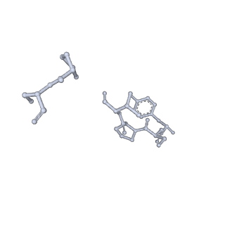 17755_8pm0_G_v1-0
Influenza A/H7N9 polymerase in replicase-like conformation in pre-initiation state with Pol II pS5 CTD peptide mimic bound in site 1A/2A