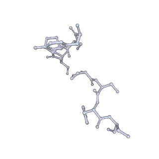 17755_8pm0_P_v1-0
Influenza A/H7N9 polymerase in replicase-like conformation in pre-initiation state with Pol II pS5 CTD peptide mimic bound in site 1A/2A