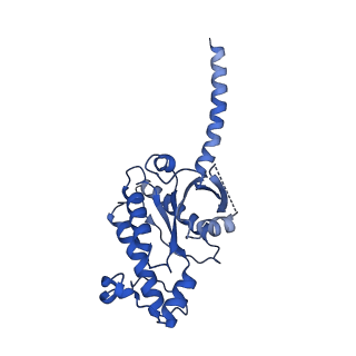 17756_8pm2_A_v1-0
Structure of the murine trace amine-associated receptor TAAR7f bound to N,N-dimethylcyclohexylamine (DMCH) in complex with mini-Gs trimeric G protein