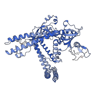 17757_8pm4_A_v1-1
Cryo-EM structure of the Cas12m-crRNA-target DNA complex