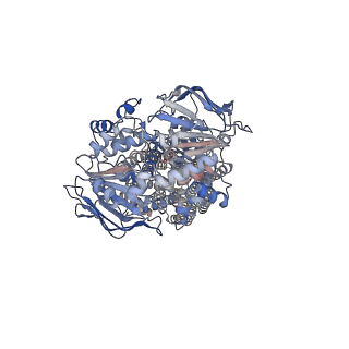 17759_8pmd_A_v1-0
Nucleotide-bound BSEP in nanodiscs