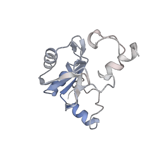 17763_8pmp_B_v1-0
Structure of the human nuclear cap-binding complex bound to ARS2[147-871] and m7GTP