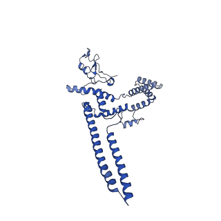 17764_8pmq_2_v1-1
Catalytic module of yeast GID E3 ligase bound to multiphosphorylated Ubc8~ubiquitin