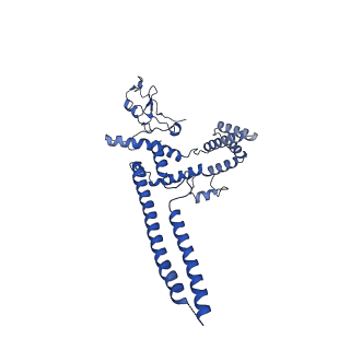 17764_8pmq_2_v1-2
Catalytic module of yeast GID E3 ligase bound to multiphosphorylated Ubc8~ubiquitin