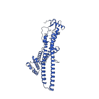 17764_8pmq_9_v1-1
Catalytic module of yeast GID E3 ligase bound to multiphosphorylated Ubc8~ubiquitin