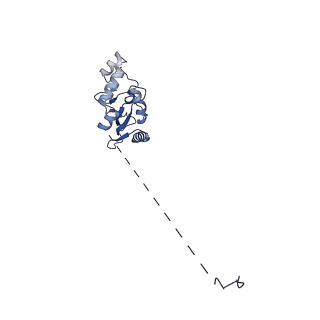17764_8pmq_E_v1-1
Catalytic module of yeast GID E3 ligase bound to multiphosphorylated Ubc8~ubiquitin