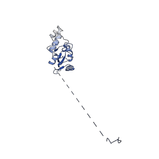 17764_8pmq_E_v1-2
Catalytic module of yeast GID E3 ligase bound to multiphosphorylated Ubc8~ubiquitin