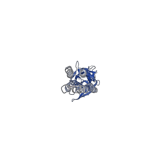 20382_6pm0_A_v1-1
CryoEM structure of zebra fish alpha-1 glycine receptor bound with Taurine in SMA, super-open state