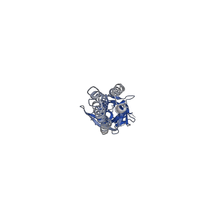 20382_6pm0_E_v1-1
CryoEM structure of zebra fish alpha-1 glycine receptor bound with Taurine in SMA, super-open state