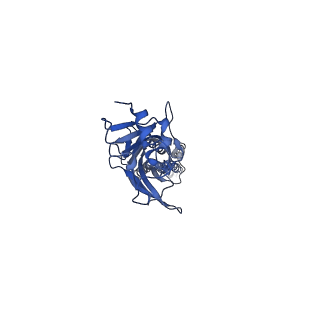 20383_6pm1_A_v1-1
CryoEM structure of zebra fish alpha-1 glycine receptor bound with Taurine in SMA, desensitized state