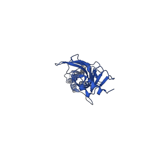 20383_6pm1_C_v1-1
CryoEM structure of zebra fish alpha-1 glycine receptor bound with Taurine in SMA, desensitized state