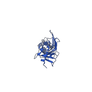 20383_6pm1_D_v1-1
CryoEM structure of zebra fish alpha-1 glycine receptor bound with Taurine in SMA, desensitized state
