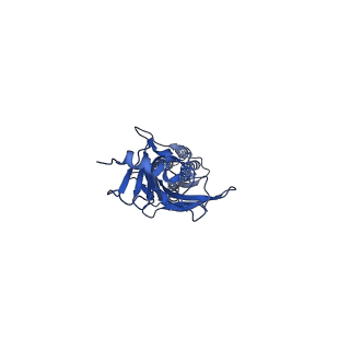 20384_6pm2_A_v1-1
CryoEM structure of zebra fish alpha-1 glycine receptor bound with Taurine in SMA, open state