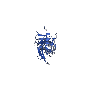 20384_6pm2_B_v1-1
CryoEM structure of zebra fish alpha-1 glycine receptor bound with Taurine in SMA, open state