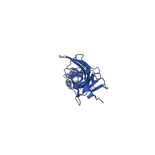 20384_6pm2_D_v1-1
CryoEM structure of zebra fish alpha-1 glycine receptor bound with Taurine in SMA, open state