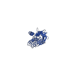 20385_6pm3_A_v1-1
CryoEM structure of zebra fish alpha-1 glycine receptor bound with Taurine in SMA, closed state