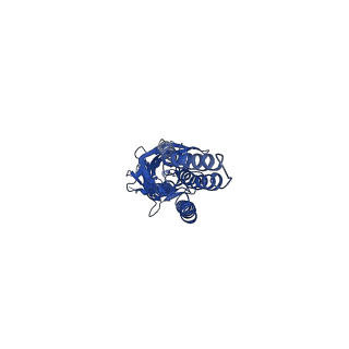 20385_6pm3_C_v1-1
CryoEM structure of zebra fish alpha-1 glycine receptor bound with Taurine in SMA, closed state