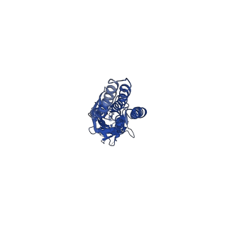 20385_6pm3_D_v1-1
CryoEM structure of zebra fish alpha-1 glycine receptor bound with Taurine in SMA, closed state