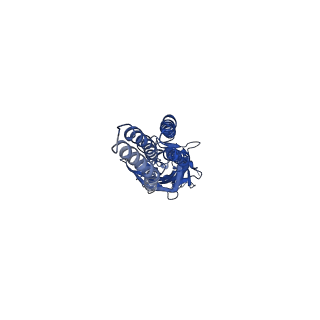 20385_6pm3_E_v1-1
CryoEM structure of zebra fish alpha-1 glycine receptor bound with Taurine in SMA, closed state
