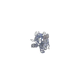 20386_6pm4_B_v1-1
CryoEM structure of zebra fish alpha-1 glycine receptor bound with Glycine in SMA, super-open state
