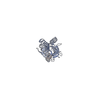 20386_6pm4_E_v1-1
CryoEM structure of zebra fish alpha-1 glycine receptor bound with Glycine in SMA, super-open state