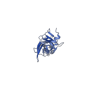20389_6pm6_B_v1-1
CryoEM structure of zebra fish alpha-1 glycine receptor bound with Glycine in SMA, open state