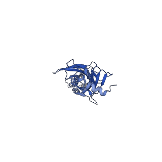 20389_6pm6_C_v1-1
CryoEM structure of zebra fish alpha-1 glycine receptor bound with Glycine in SMA, open state