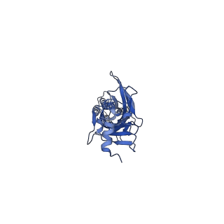 20389_6pm6_D_v1-1
CryoEM structure of zebra fish alpha-1 glycine receptor bound with Glycine in SMA, open state
