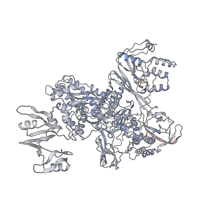 20394_6pmi_C_v1-3
Sigm28-transcription initiation complex with specific promoter at the state 1