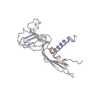 20395_6pmj_A_v1-2
Sigm28-transcription initiation complex with specific promoter at the state 2
