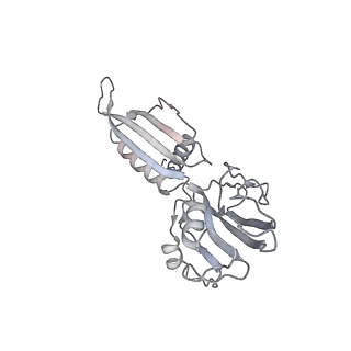 20395_6pmj_B_v1-2
Sigm28-transcription initiation complex with specific promoter at the state 2