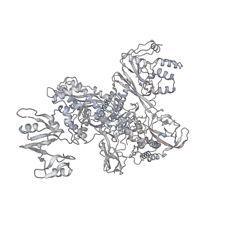 20395_6pmj_C_v1-2
Sigm28-transcription initiation complex with specific promoter at the state 2