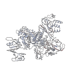 20395_6pmj_C_v1-3
Sigm28-transcription initiation complex with specific promoter at the state 2