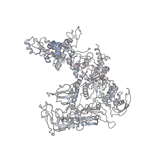 20395_6pmj_D_v1-2
Sigm28-transcription initiation complex with specific promoter at the state 2