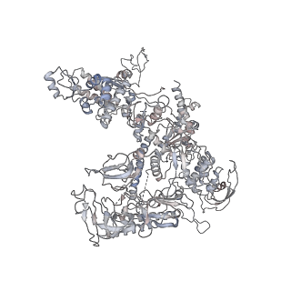 20395_6pmj_D_v1-3
Sigm28-transcription initiation complex with specific promoter at the state 2