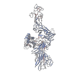 13549_7pnm_B_v1-1
Human coronavirus OC43 spike glycoprotein ectodomain in complex with the 46C12 antibody Fab fragment