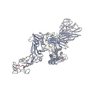 13549_7pnm_C_v1-1
Human coronavirus OC43 spike glycoprotein ectodomain in complex with the 46C12 antibody Fab fragment