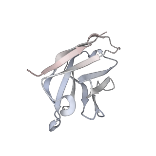 13549_7pnm_I_v1-1
Human coronavirus OC43 spike glycoprotein ectodomain in complex with the 46C12 antibody Fab fragment