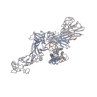 13550_7pnq_C_v1-1
Human coronavirus OC43 spike glycoprotein ectodomain in complex with the 43E6 antibody Fab fragment