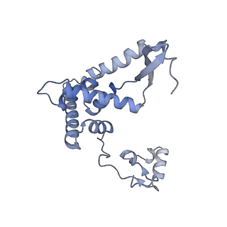 13551_7pnt_F_v1-2
Assembly intermediate of mouse mitochondrial ribosome small subunit without mS37 in complex with RbfA and Tfb1m