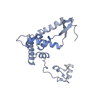 13551_7pnt_F_v2-1
Assembly intermediate of mouse mitochondrial ribosome small subunit without mS37 in complex with RbfA and Tfb1m