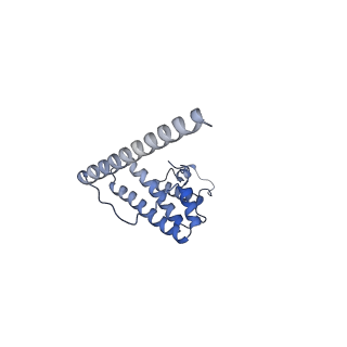 13551_7pnt_L_v1-2
Assembly intermediate of mouse mitochondrial ribosome small subunit without mS37 in complex with RbfA and Tfb1m