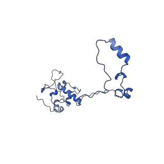 13551_7pnt_O_v1-2
Assembly intermediate of mouse mitochondrial ribosome small subunit without mS37 in complex with RbfA and Tfb1m