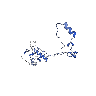 13551_7pnt_O_v2-1
Assembly intermediate of mouse mitochondrial ribosome small subunit without mS37 in complex with RbfA and Tfb1m